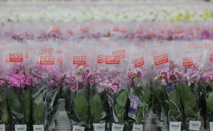 Przybyło firm! Co piąty biznes ma siedzibę na Mazowszu