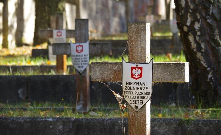 Groby żołnierzy Wojska Polskigo z armii "Poznań" i "Pomorze", którzy zginęli w trakcie bitwy nad Bzurą  / autor: Fratria / KK