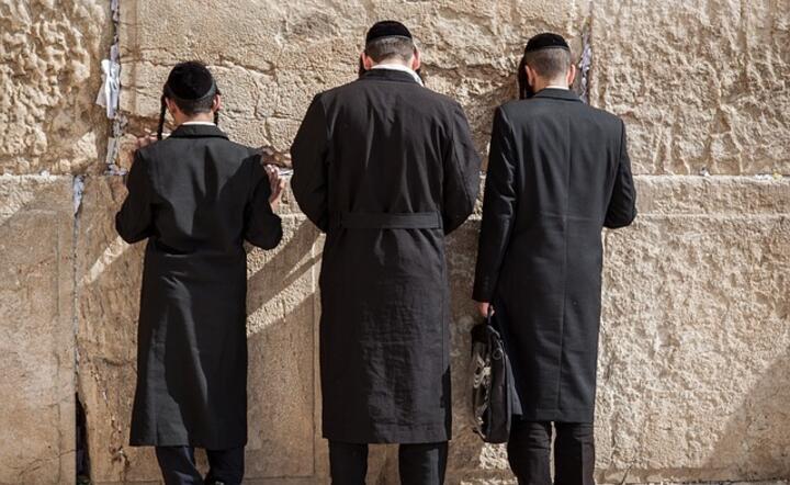 Żydzi eskalują, a o żydowskich zdrajcach milczą