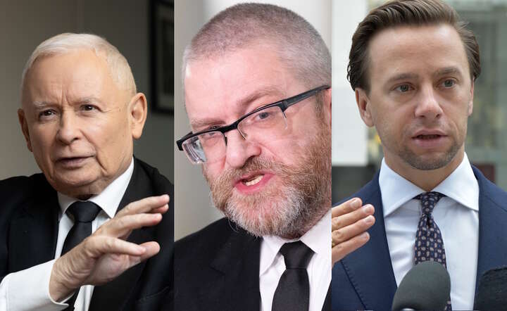 Prawica rządzi w sondażach. To oni, tylko razem, rządziliby dziś Polską / autor: Fratria