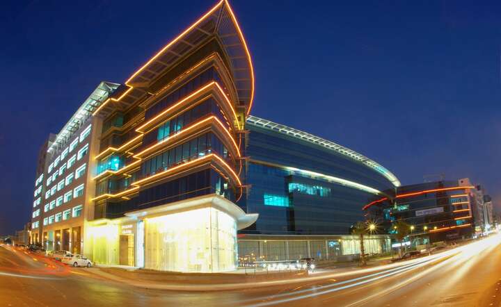 Arabia Saudyjska planuje założyć 300 start-upów zajmujących się sztuczną inteligencją i pozyskać do 2030 r. 20 mld dol. inwestycji związanych z tą dziedziną / autor: Pixabay