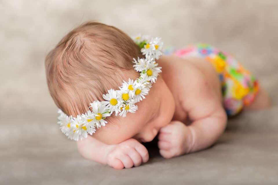 autor: Pixabay