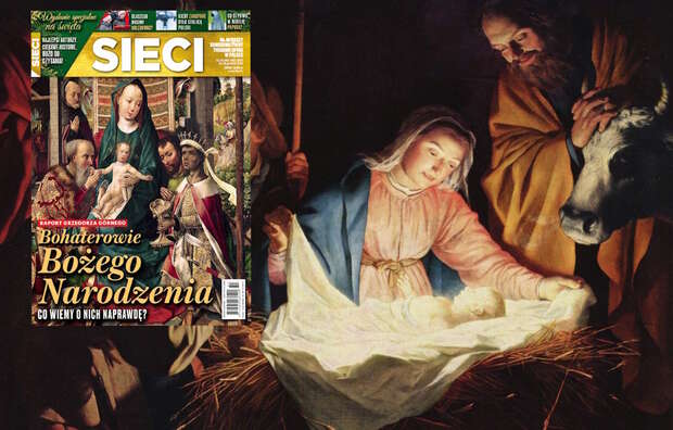 autor: Fratria/Pixabay