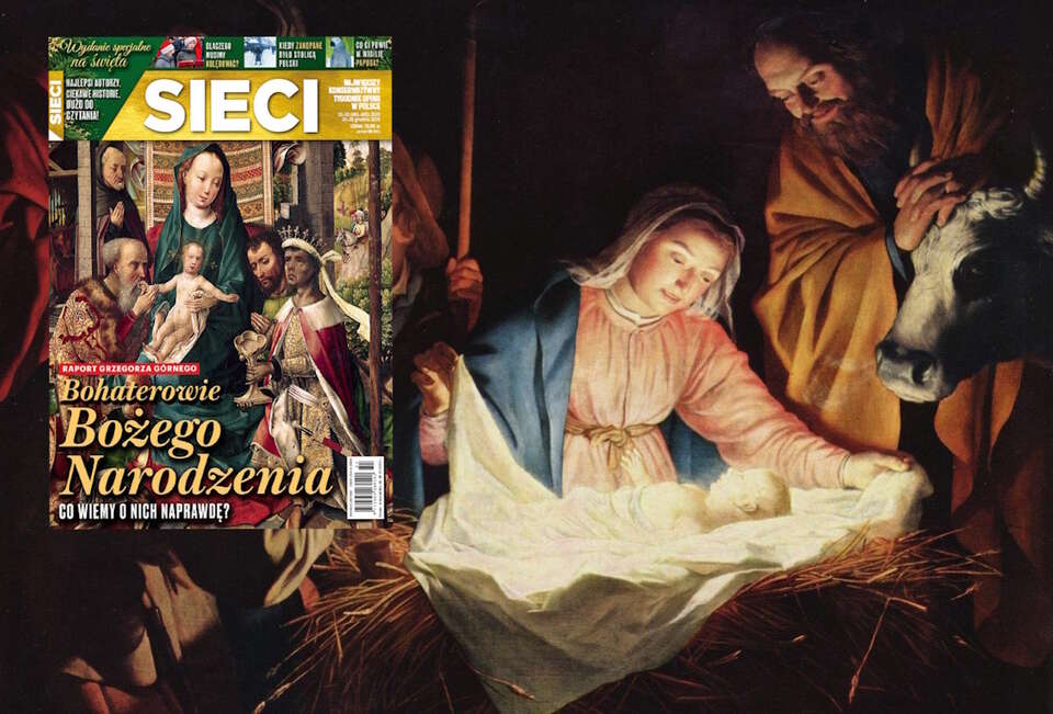 autor: Fratria/Pixabay