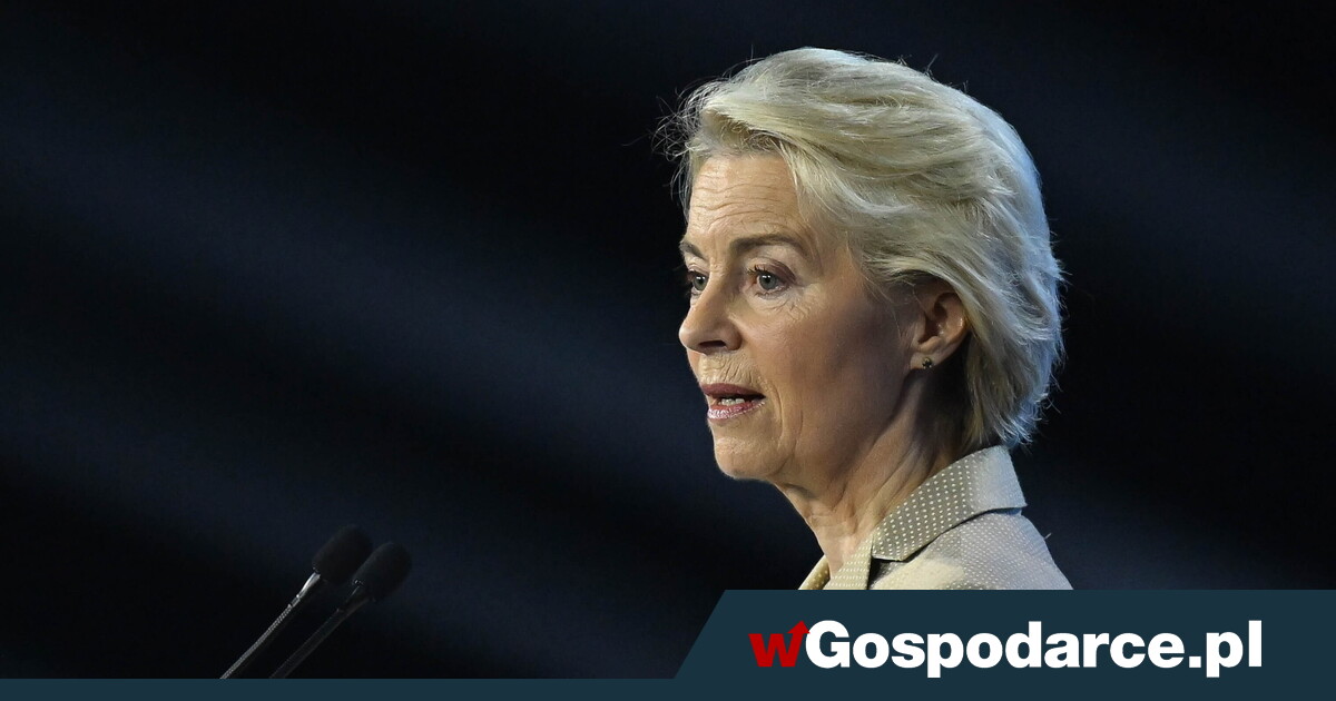 Cena unijnego szaleństwa