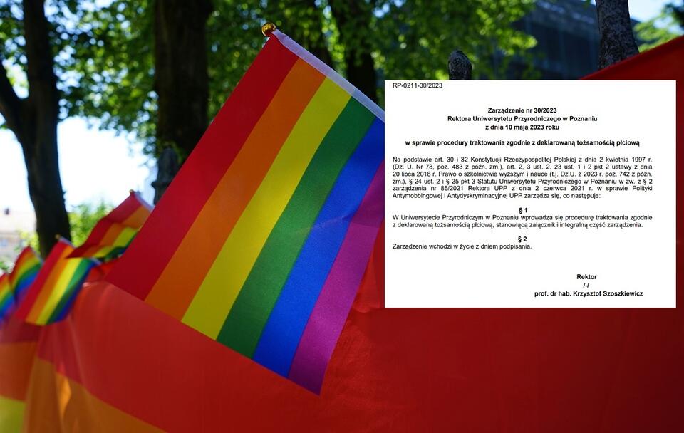 autor: Fratria/screenshot puls.edu.pl