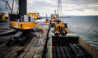 Nawet ekolodzy przeciwko Nord Stream 2