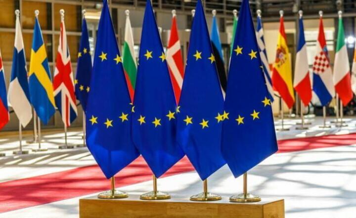 Flaga UE / autor: Fratria 