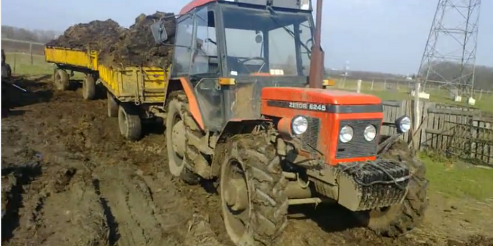 Fot.zdjęcie ilustracyjne youtube.pl