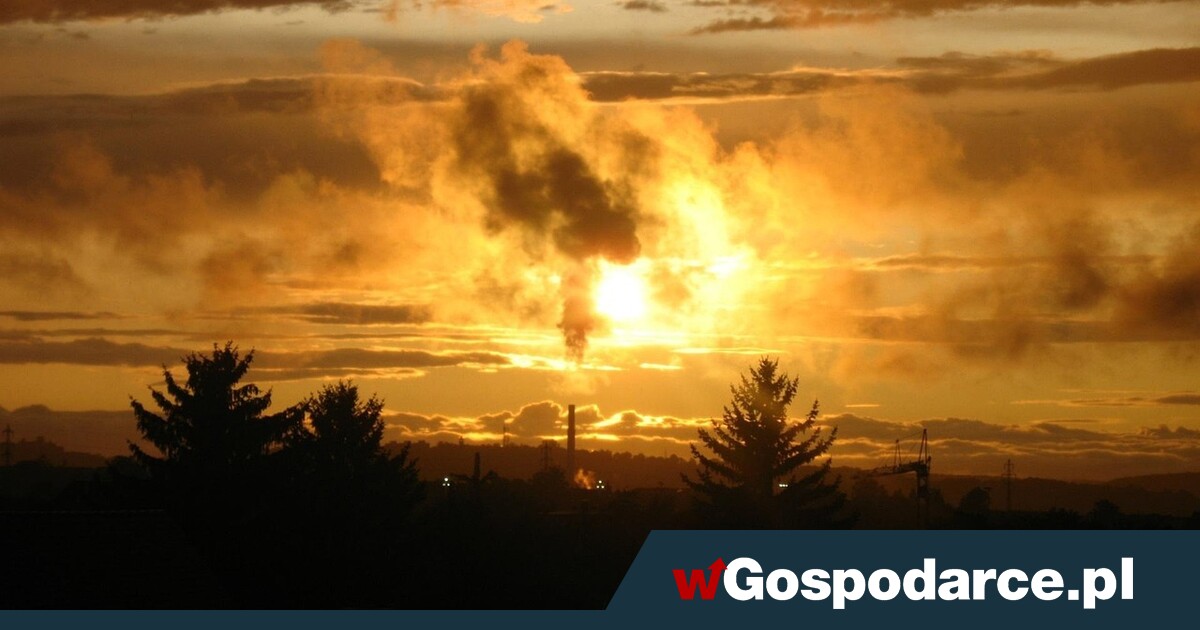 „Czyste Powietrze” w głębokim kryzysie