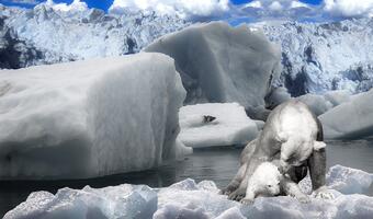 W Arktyce zaczyna brakować... lodu