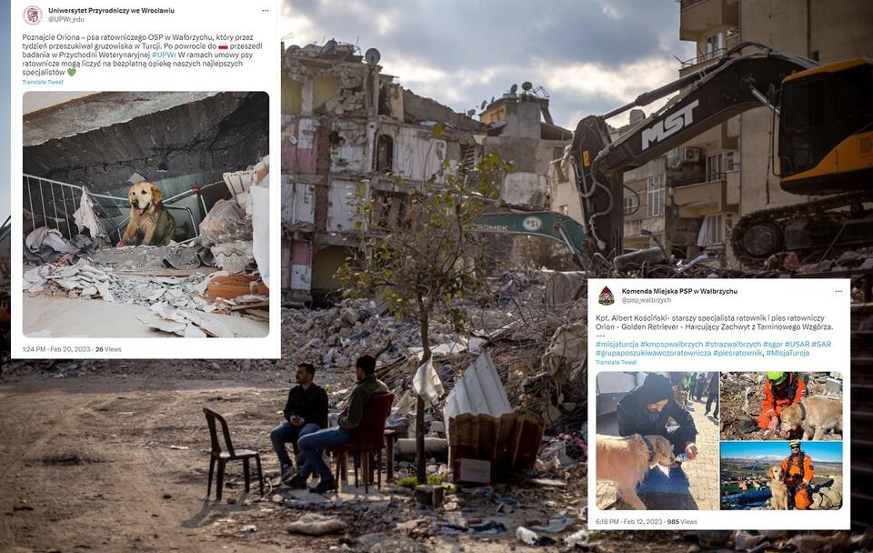 Po trzęsieniu ziemi w Turcji / autor: PAP/EPA/MARTIN DIVISEK/@UPWr_edu/@psp_walbrzych