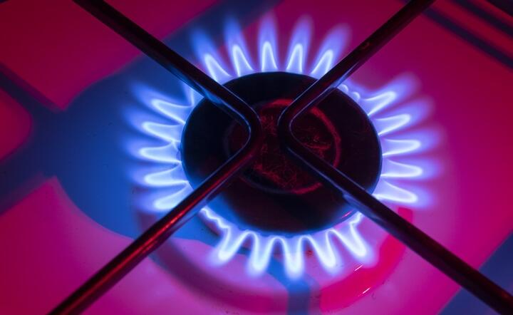 Rekordowe obroty na rynku spot gazu w lutym