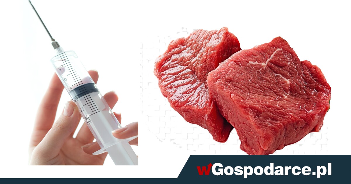 Skandal! Do Polski dotarła urugwajska wołowina z hormonami