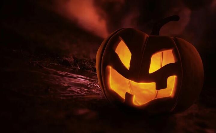 Halloween  / autor: Pixabay 