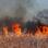 Wielki pożar szaleje w Bułgarii, wojsko utylizowało amunicję