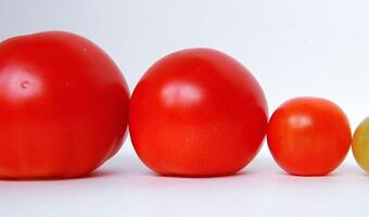 Szansa na odreagowanie