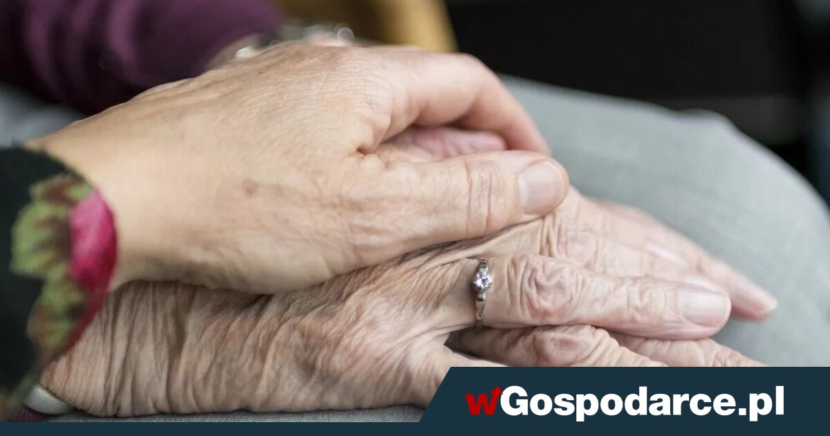 Renta wdowia bije rekordy!