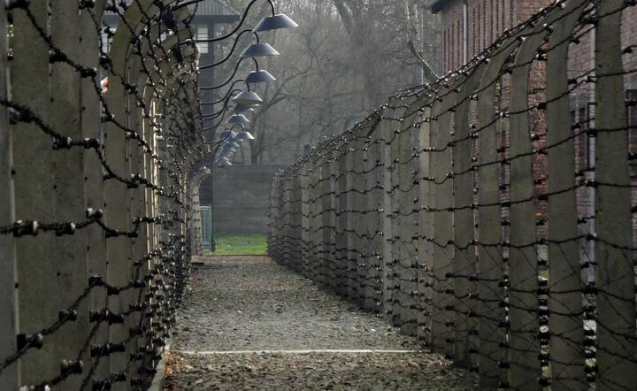 Auschwitz  / autor: pixabay