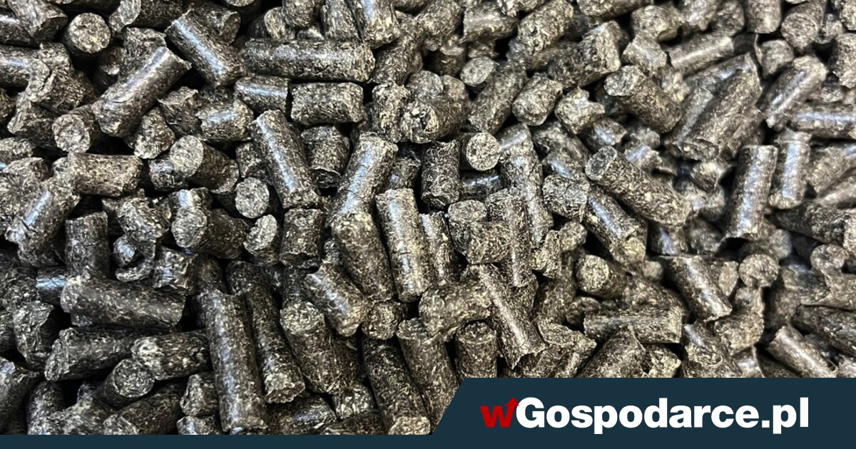 Po co nam pellet, skoro mamy… łuski słonecznika