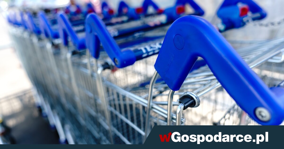 Gamechanger w handlu detalicznym: wielka grupa zakupowa