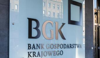 BGK sfinansuje rozwój technologii SMR