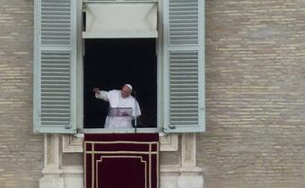 Papież Franciszek otrzyma choinkę prosto z Polski
