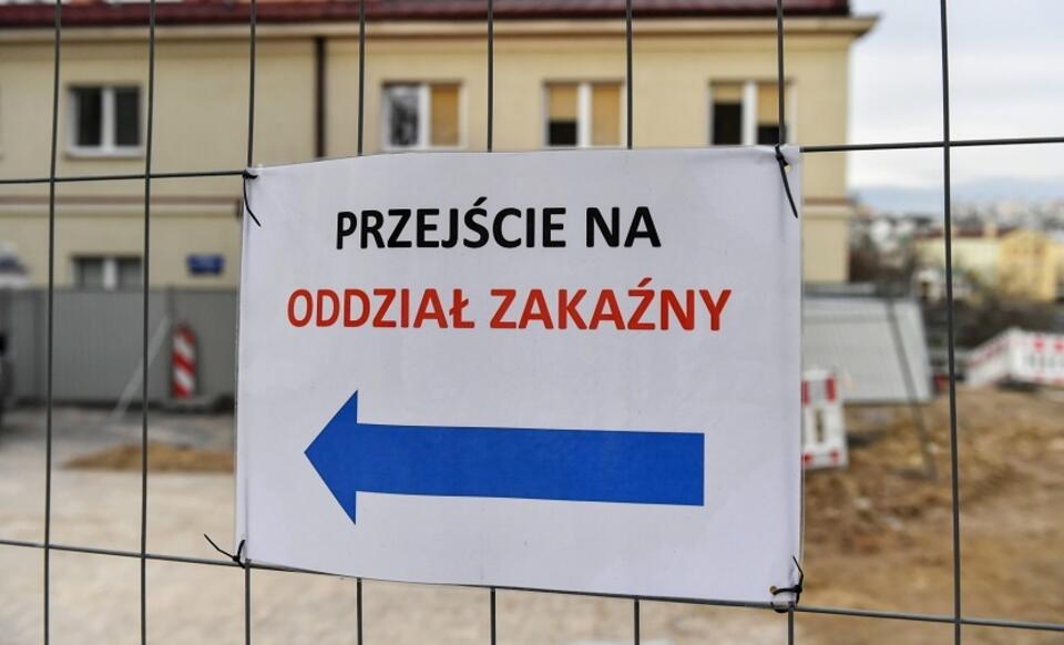 autor: PAP/Wojtek Jargiło