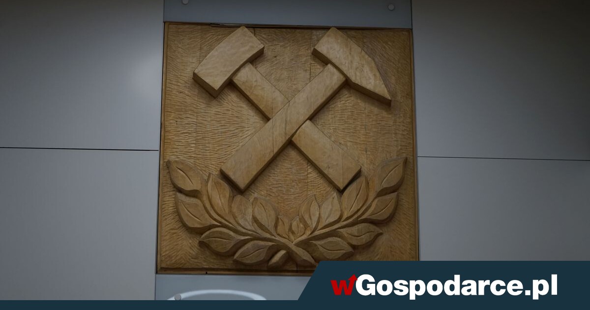 Ukraińcy wezmą Śląsk! Będą fedrować