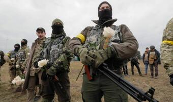 Ukraina: Niemcy nie dostarczyli ani jednej szt. ciężkiej broni