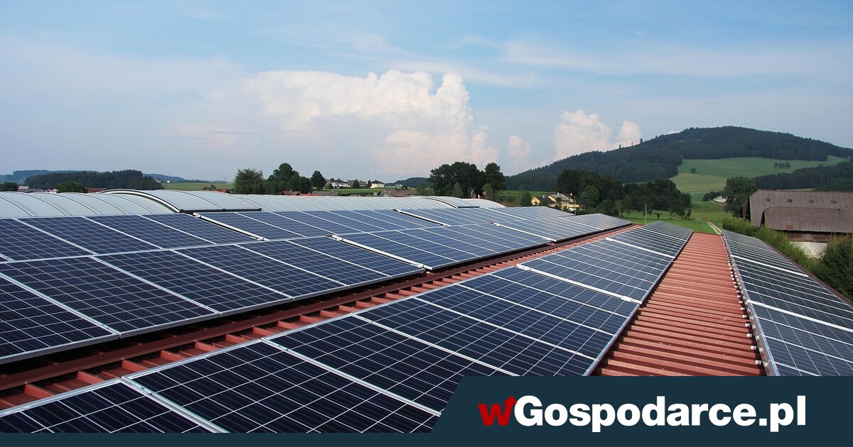 Chińczycy przejmują rządy w czystych technologiach