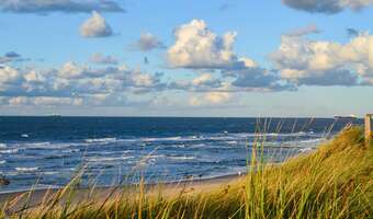 „Niech każdy radzi sobie sam, skoro tam poleciał”