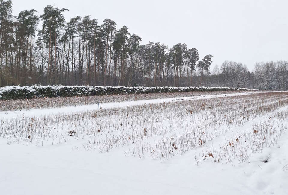 IMGW wydał alerty / autor: Fratria