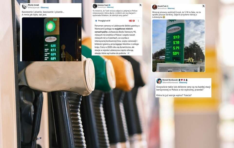 autor: pixabay.com/X