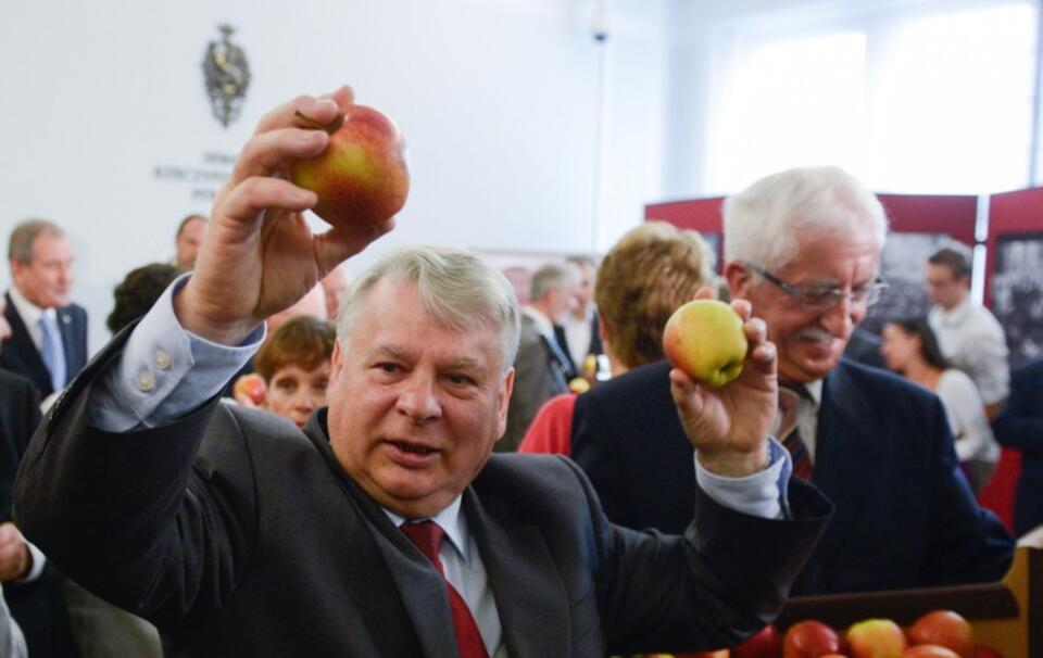 fot. PAP/Jakub Kamiński