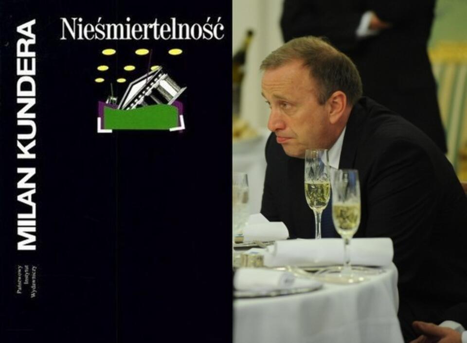Fot. Grzegorza Schetyny: PAP / Jacek Turczyk
