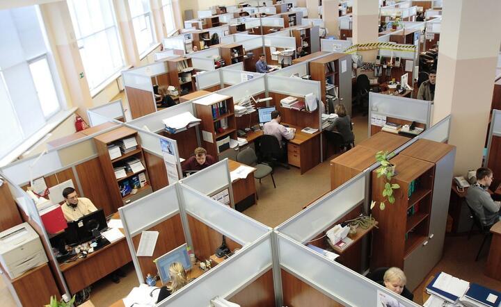 Pracownicy w biurze / autor: Pixabay.com