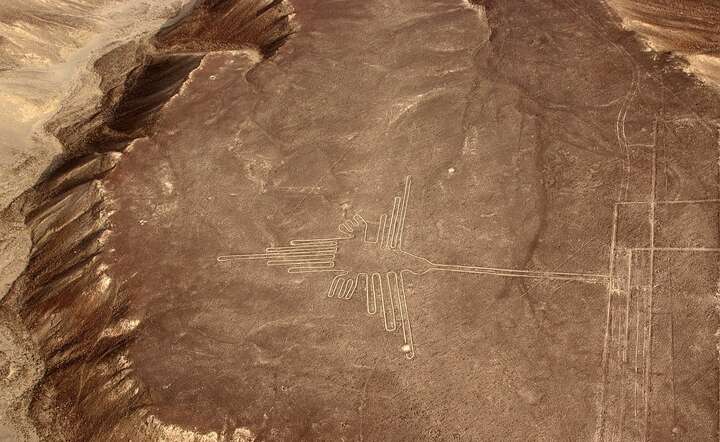 Geoglif na pustyni Nazca / autor: Pixabay
