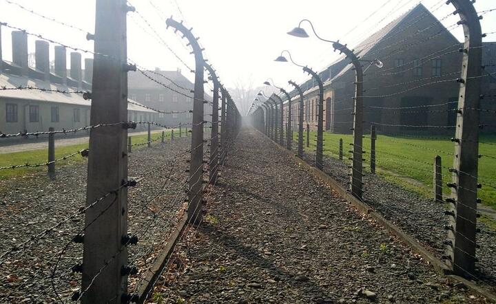 Obóz koncentracyjny / autor: Pixabay