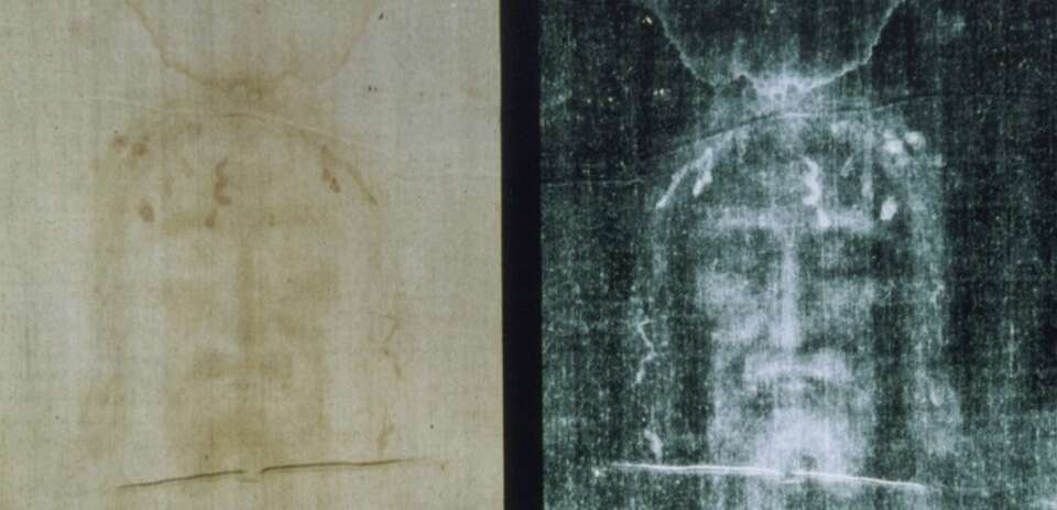 fot. Wikimedia Commons