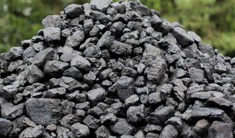 Węgiel i paliwa w górę