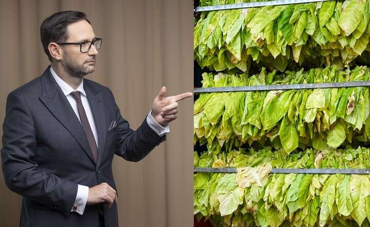 Daniel Obajtek: Polska jest trzecim w UE producentem tytoniu, to branża dająca pracę setkom tysięcy osób  / autor: Fratria / AW / Pixabay