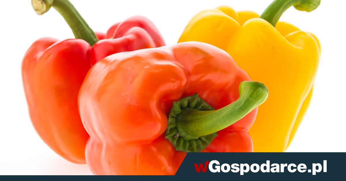 Kto manipuluje cenami papryki?