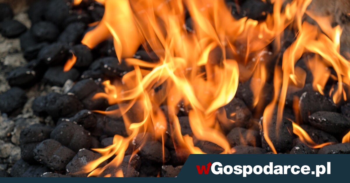 Kopciuchom mówimy „tak”! Decyduje ekonomia, a nie smog