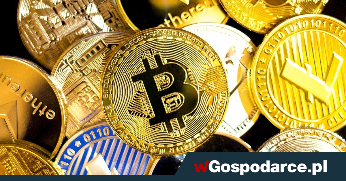 Sondażowo Polacy sceptyczni wobec kryptowalut