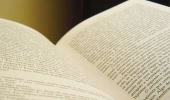 UE przypomni kim był Napoleon Orda