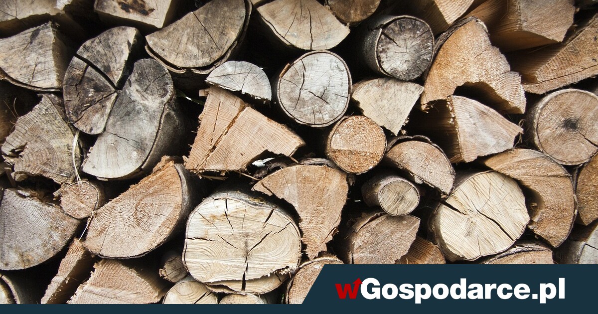 5 000 zł. Tyle dostaniesz kary za palenie w piecu