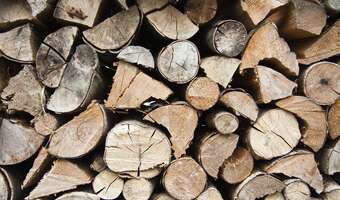 5 000 zł. Tyle dostaniesz kary za palenie w piecu