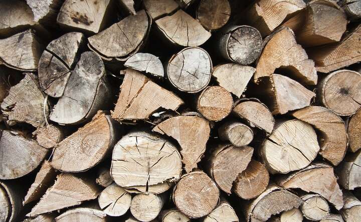 Mokre drewno / autor: Pixabay