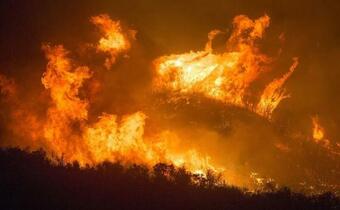 W wielu regionach Rosji pożary lasów, najgroźniejsze w Jakucji